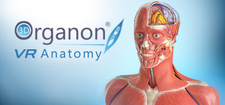 3D Organon VR Anatomy