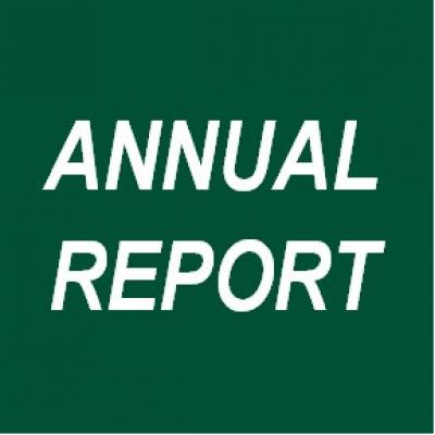 Annual Report graphic