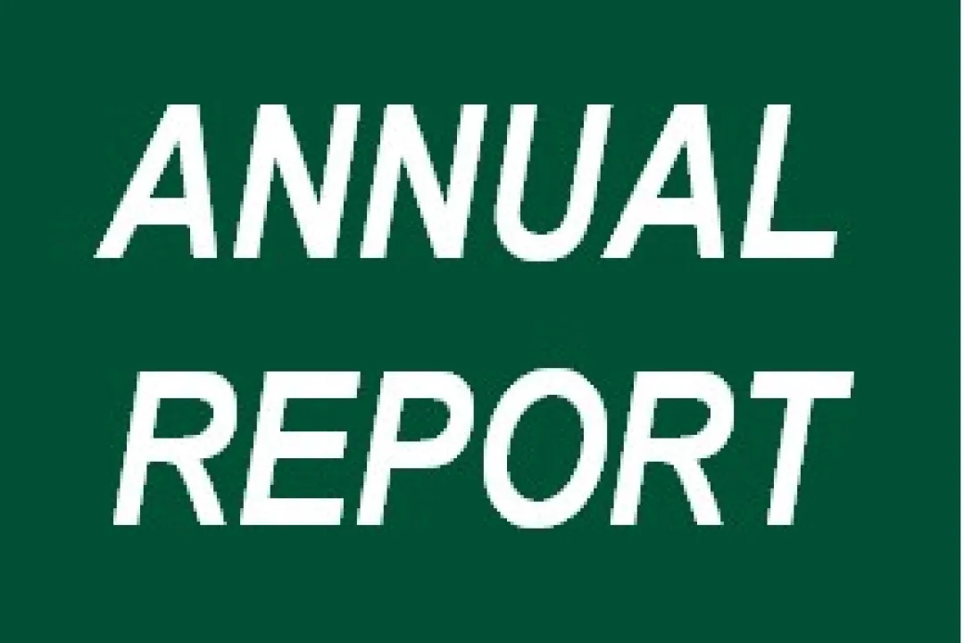Annual Report graphic