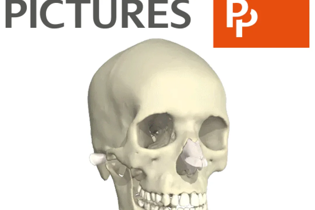Gif of 3D rendering of a head