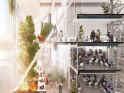 McCormick Flyer Image