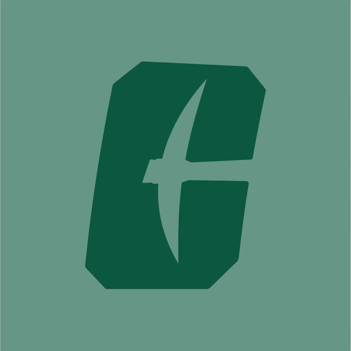 Icon13